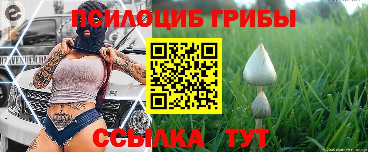 Галлюциногенные грибы мицелий Великий Новгород