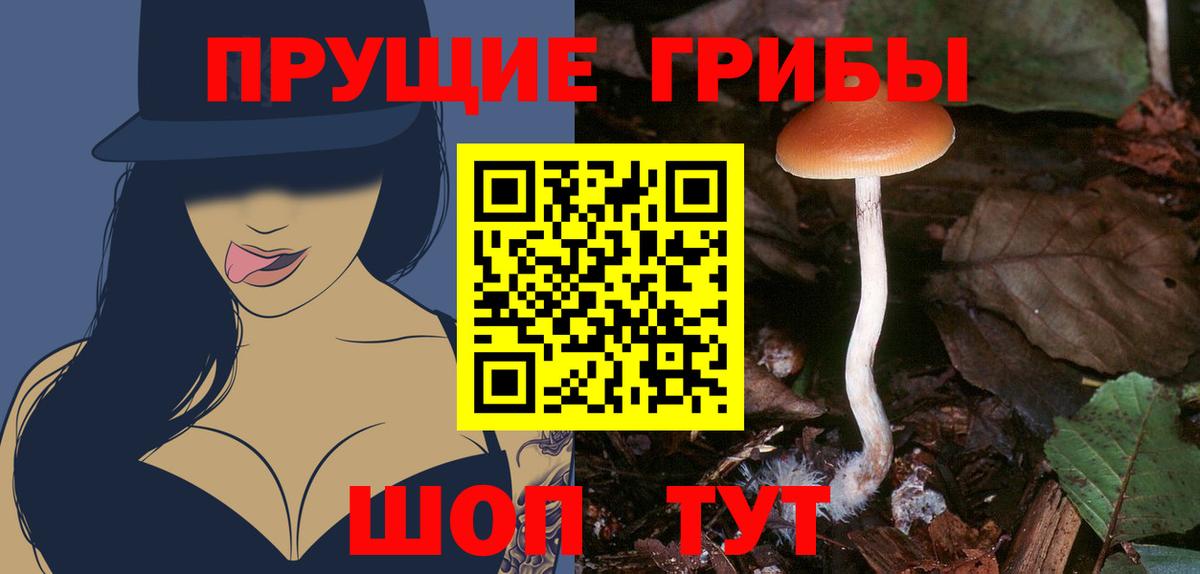 Великий Новгород  Галлюциногенные грибы ЛСД  Вход с VPN 